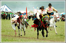 Gyangtse Horse Race Festival